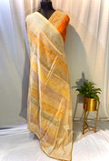 Organza Saree