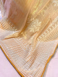 Organza Saree