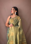 Tissue Silk Saree