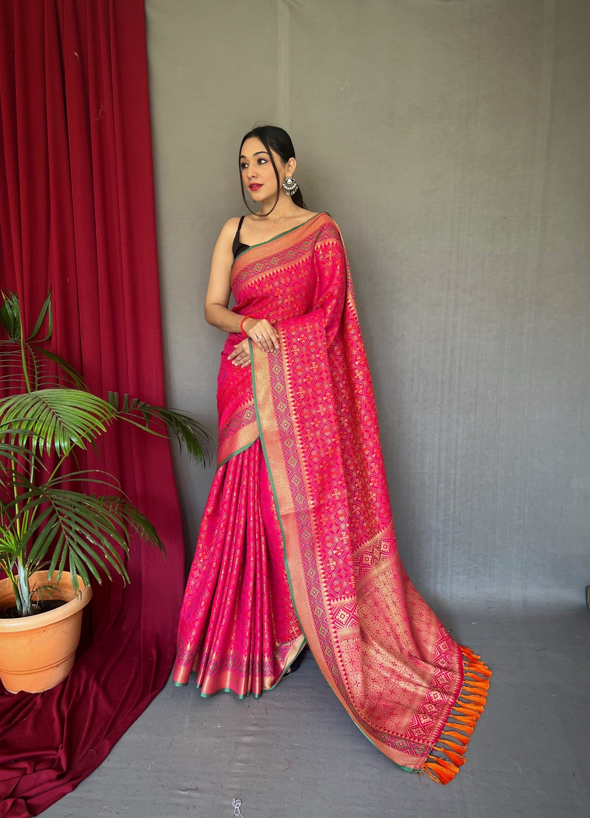 Banarasi Rajkoti Patola Silk Saree