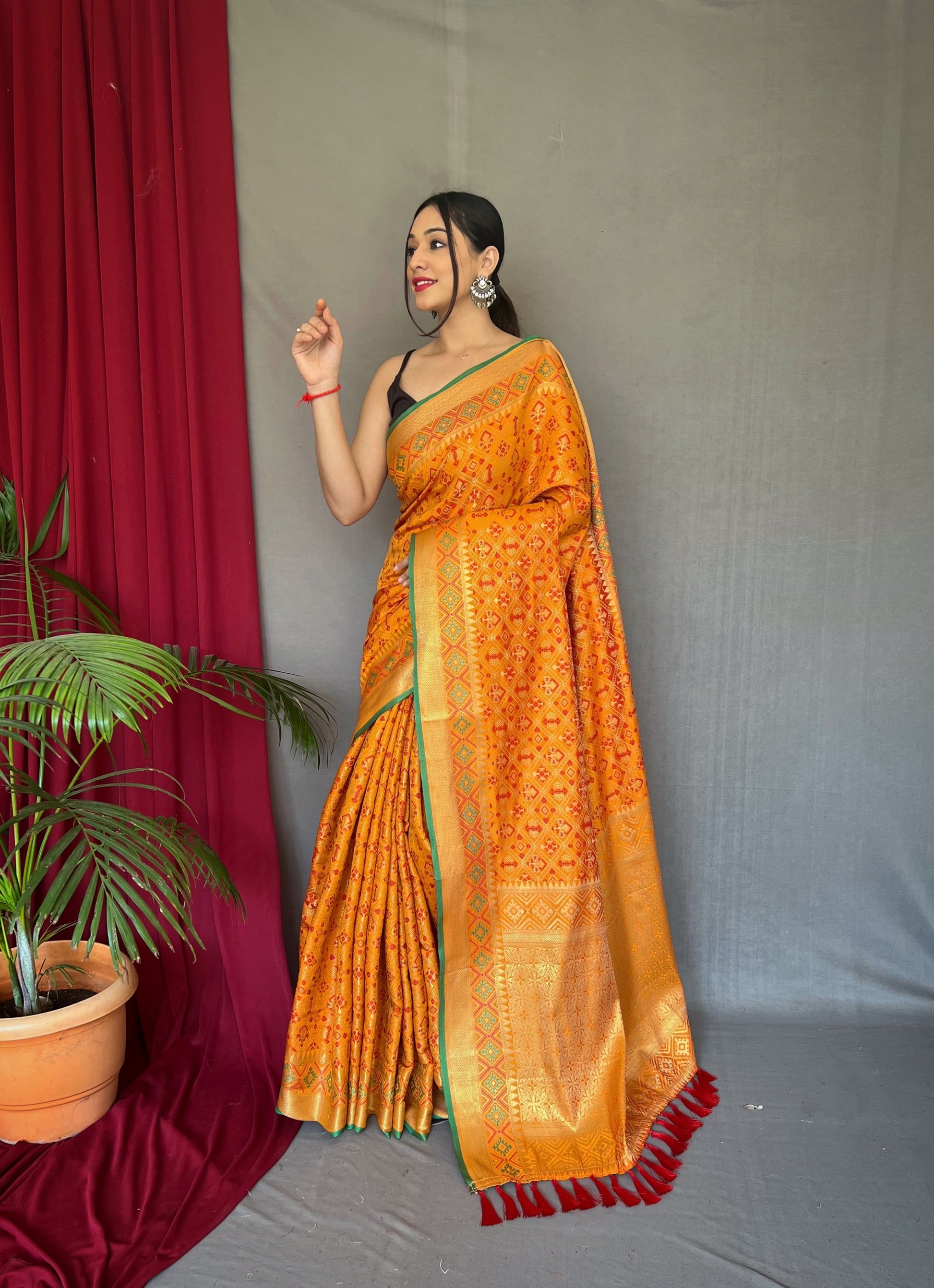 Banarasi Rajkoti Patola Silk Saree