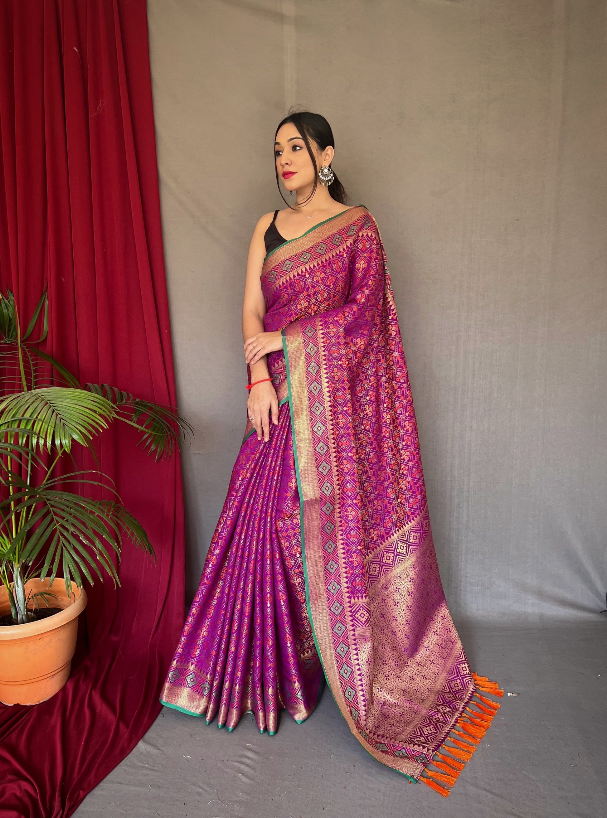 Banarasi Rajkoti Patola Silk Saree