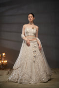 Cream Sequins and Zarkan Embroidery Net Lehenga Choli & Dupatta