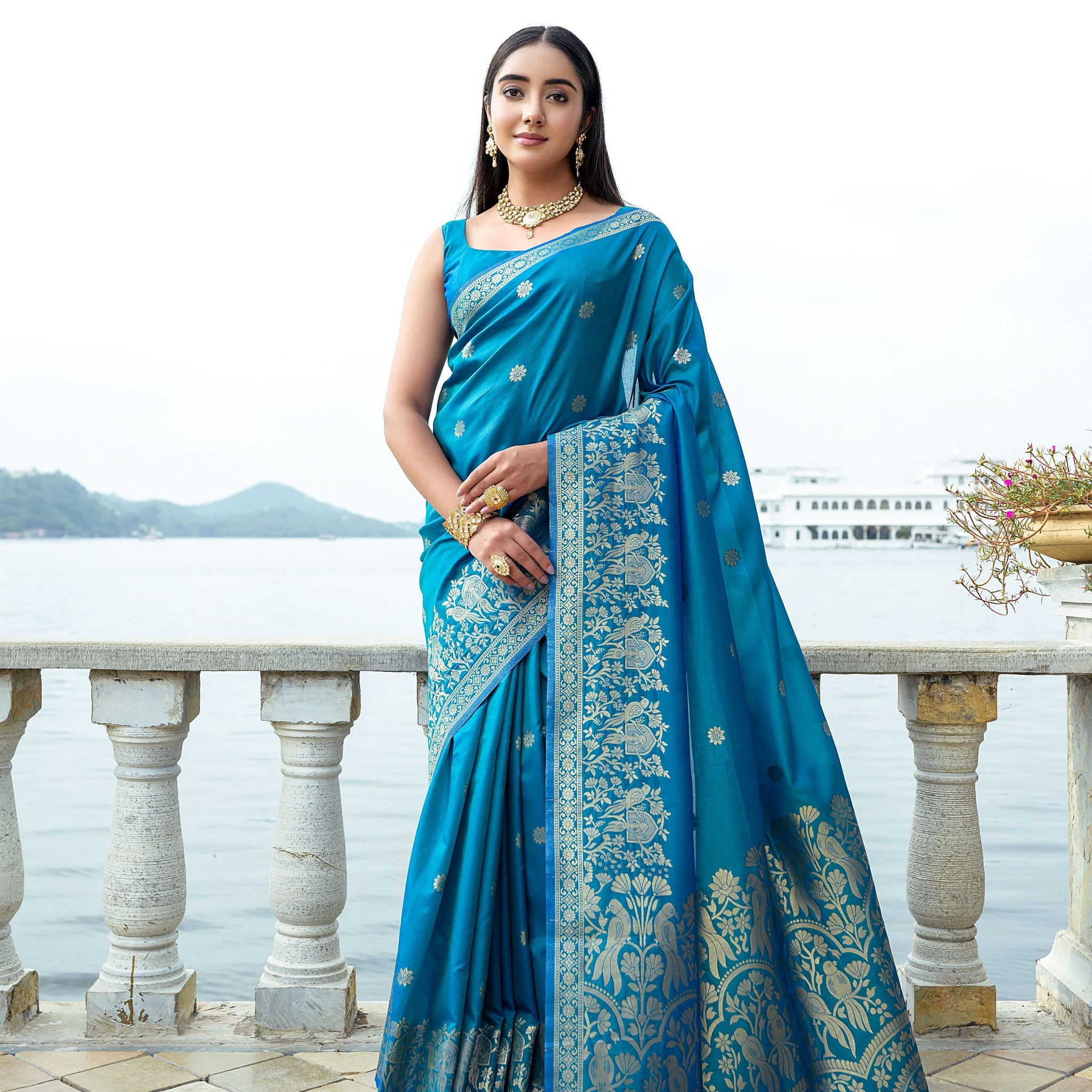 Banarasi Soft Silk Saree