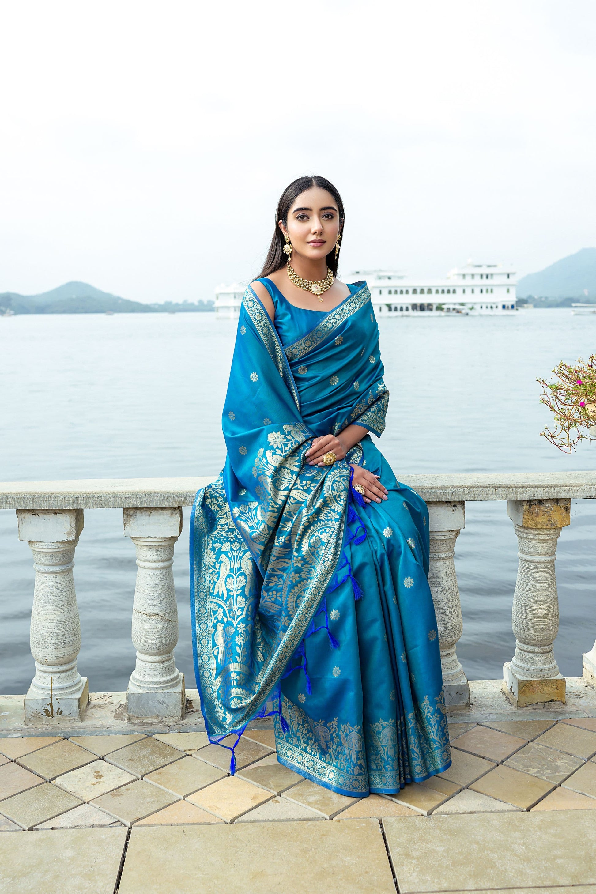 Banarasi Soft Silk Saree