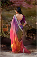 Multi-Color Gradient Saree in Glass Tissue Organza & Embroidery Work