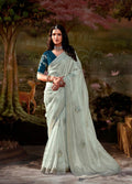 Mint Green Glass Tissue Organza Saree with Embroidery and Zarkan Work