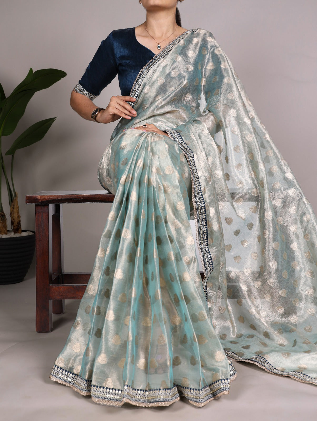 Banarasi Tissue Silk Saree