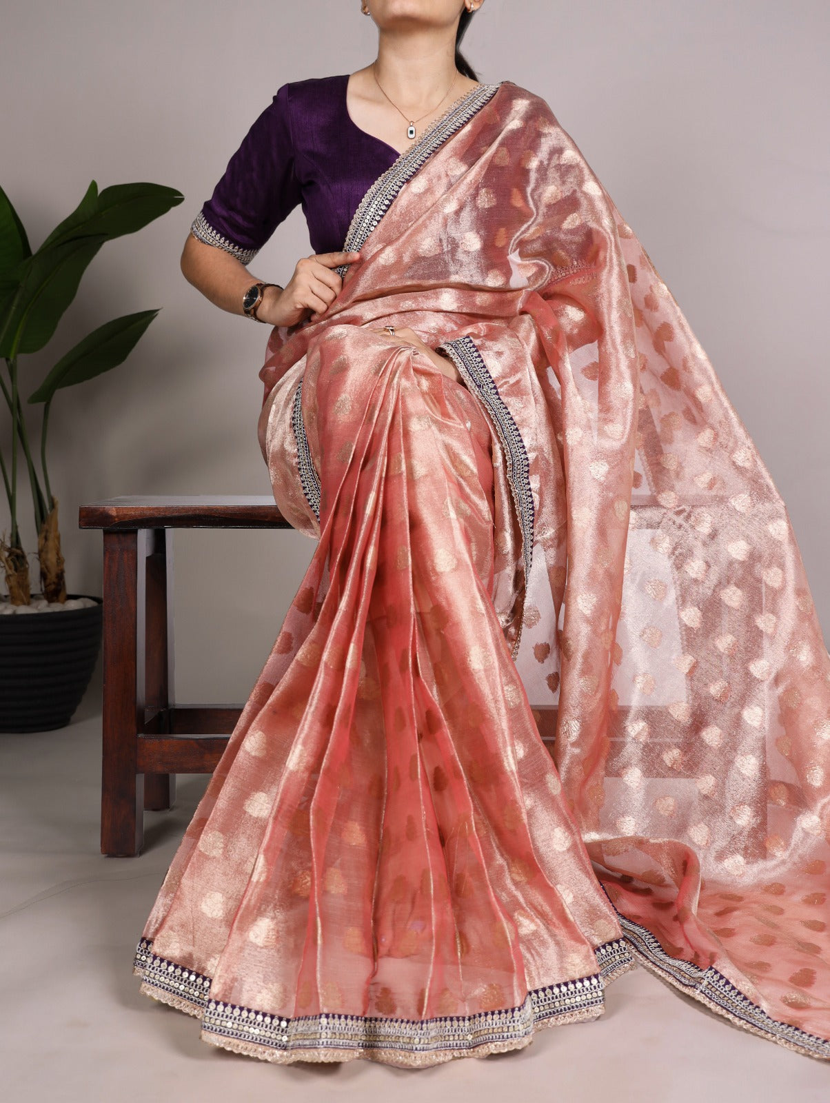 Banarasi Tissue Silk Saree