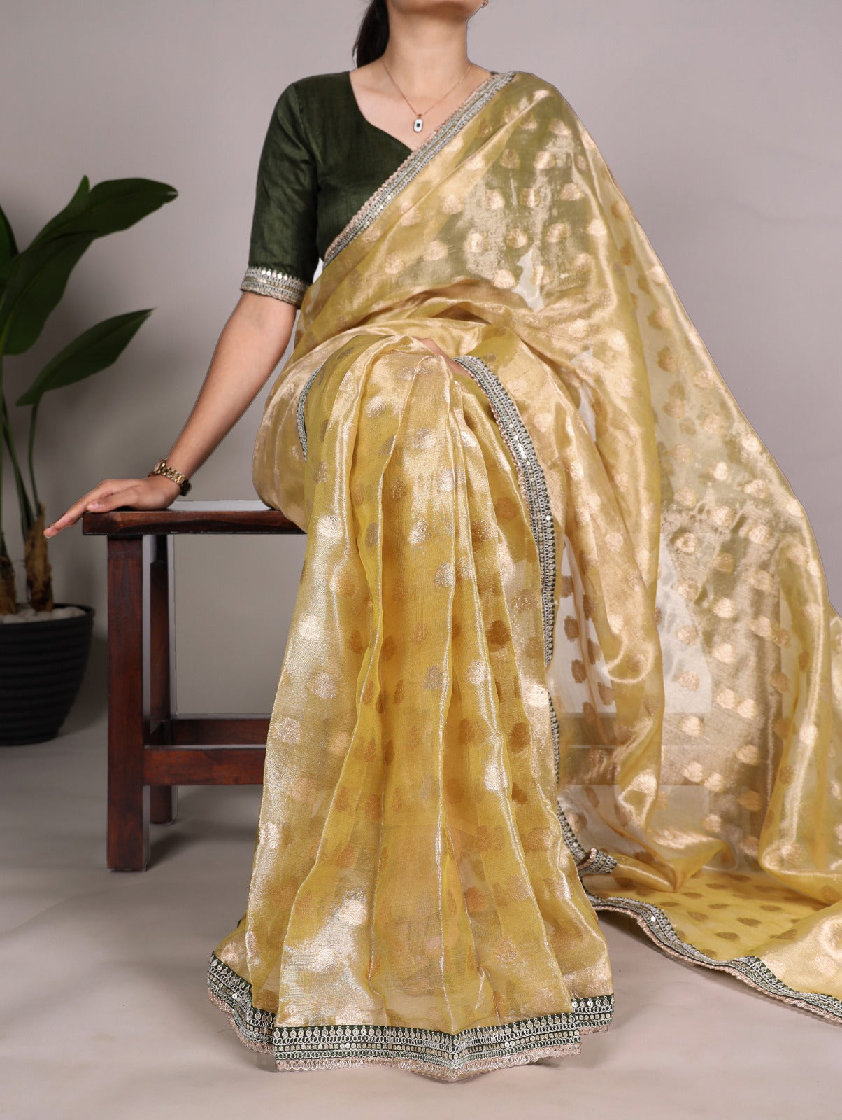 Banarasi Tissue Silk Saree