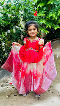 Kid's Lehenga Choli