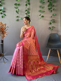 Organza Saree