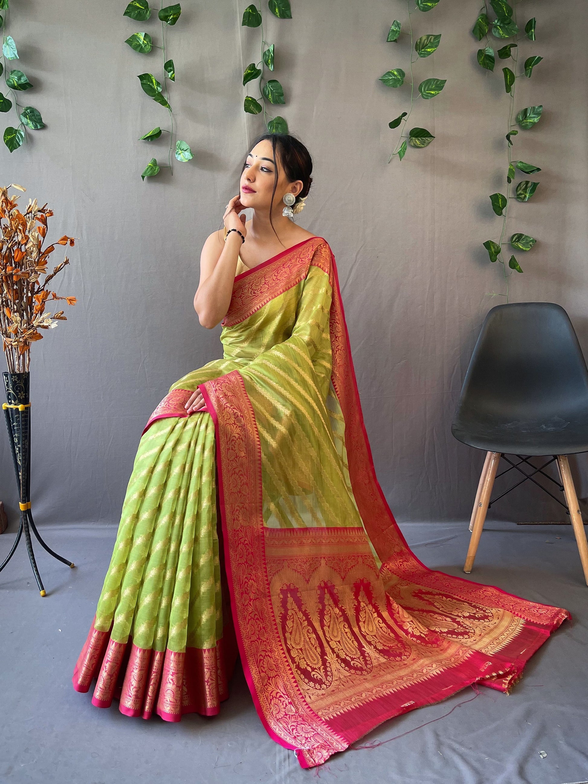 Organza Saree