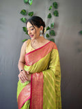 Organza Saree