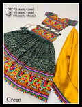 Girls Navratri Lehenga Choli