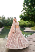 Nude Organza Bridal Lehenga with Zarkan & Sequins Work