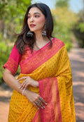 Banarasi Paithani Silk Saree