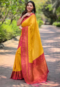 Banarasi Paithani Silk Saree