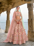 Soft Pink Embroidered Lehenga with Delicate Work