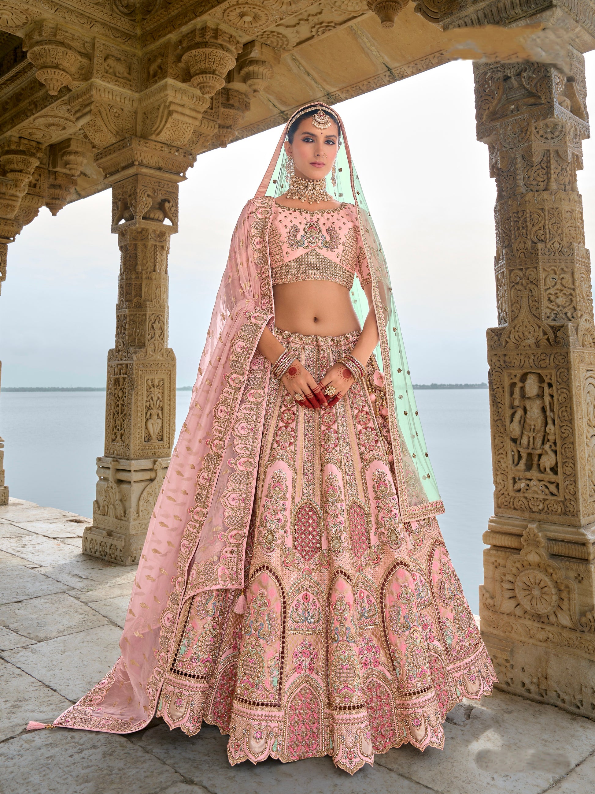 Soft Pink Embroidered Lehenga with Delicate Work