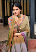 Chiffon Saree