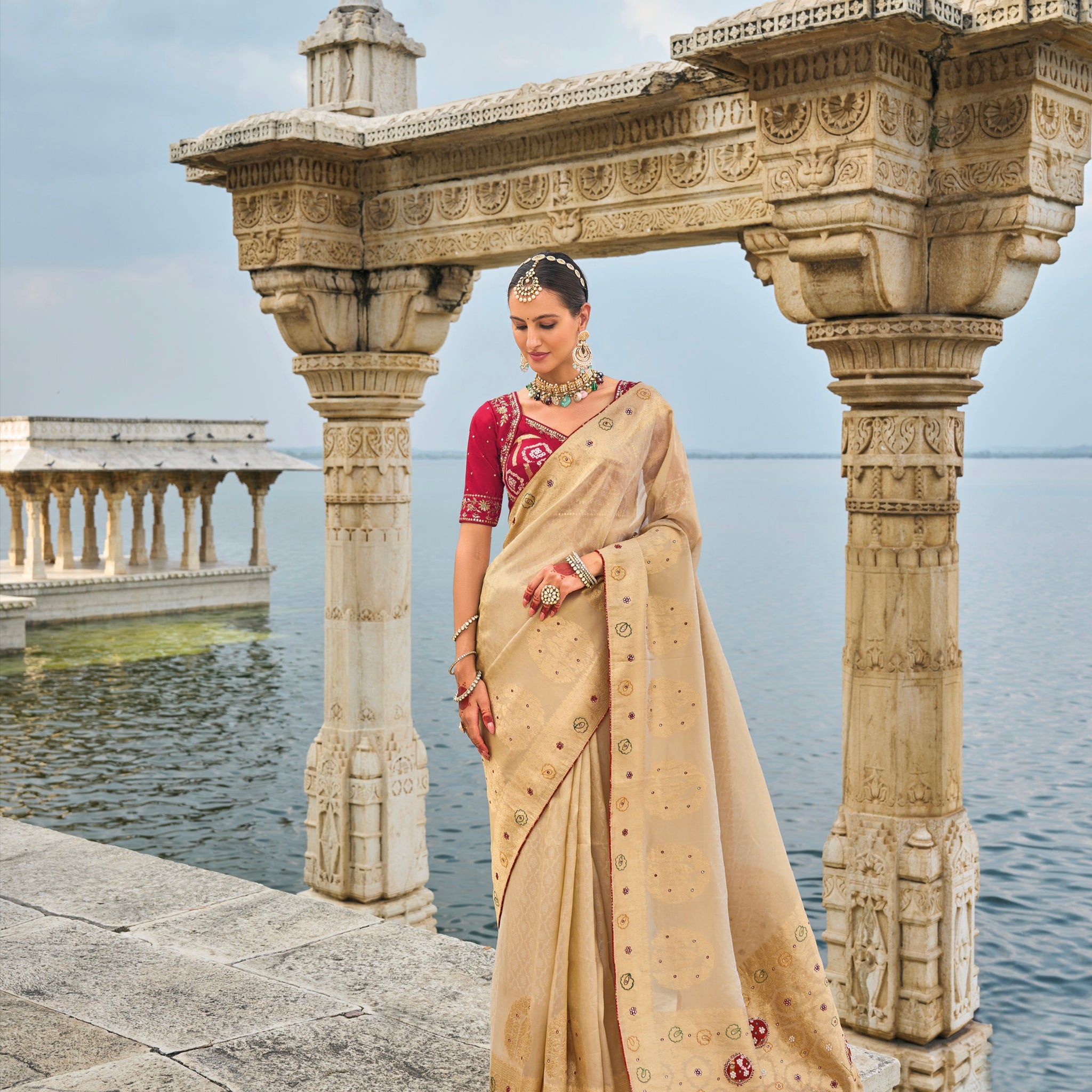 Chiku Kanjivaram Silk Saree with Jardoshi & Cut-Dana Detailing