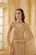 Golden Net Lehenga Choli with Thread Embroidery & Glittering Stones