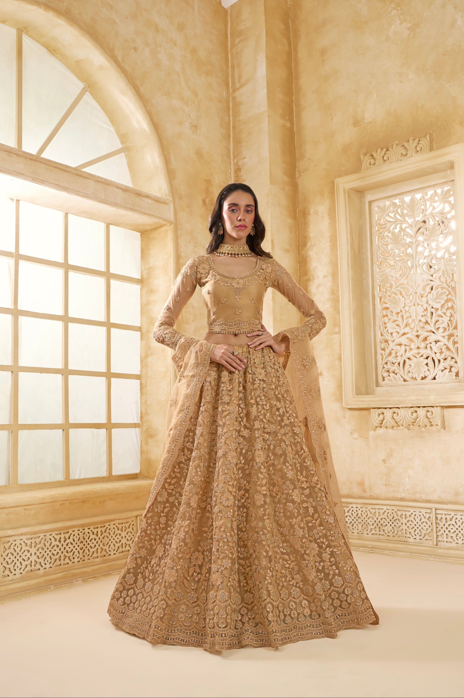 Golden Net Lehenga Choli with Thread Embroidery & Glittering Stones