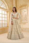 Ivory Net Embroidered Lehenga with Stone & Cording Work