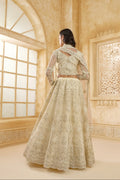 Ivory Net Embroidered Lehenga with Stone & Cording Work