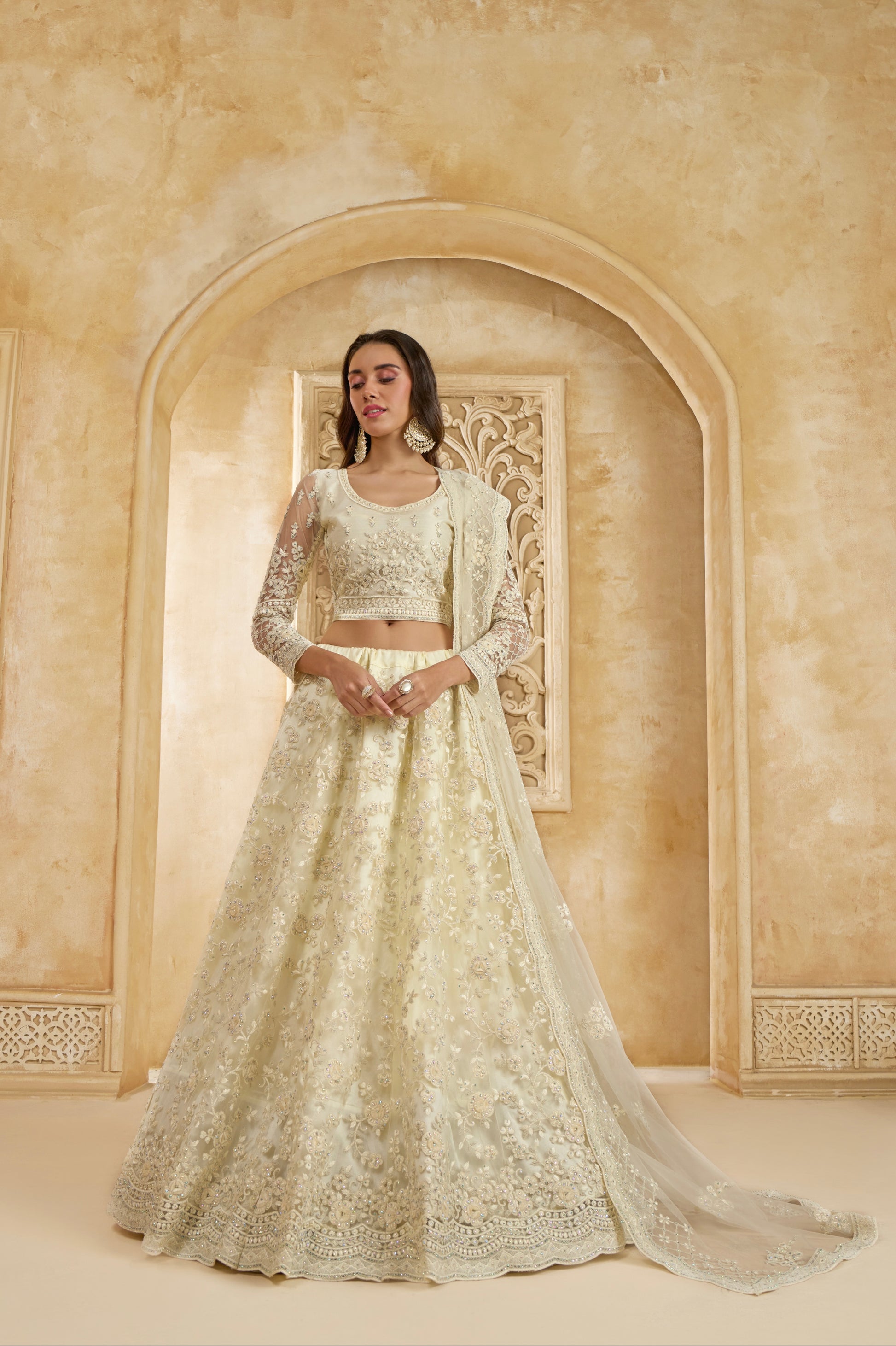 Ivory Elegant Net Lehenga Choli with Stone & Embroidery Detailing