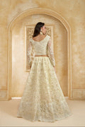 Ivory Elegant Net Lehenga Choli with Stone & Embroidery Detailing