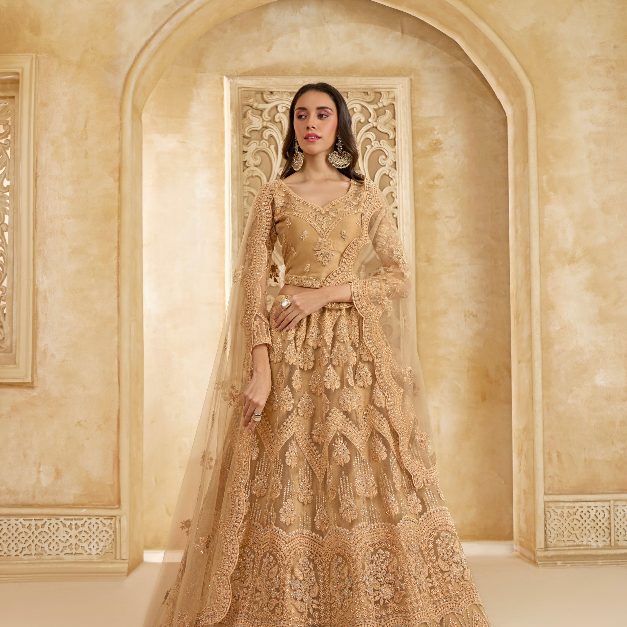 Golden Net Embroidered Lehenga with Cording Work & Stones