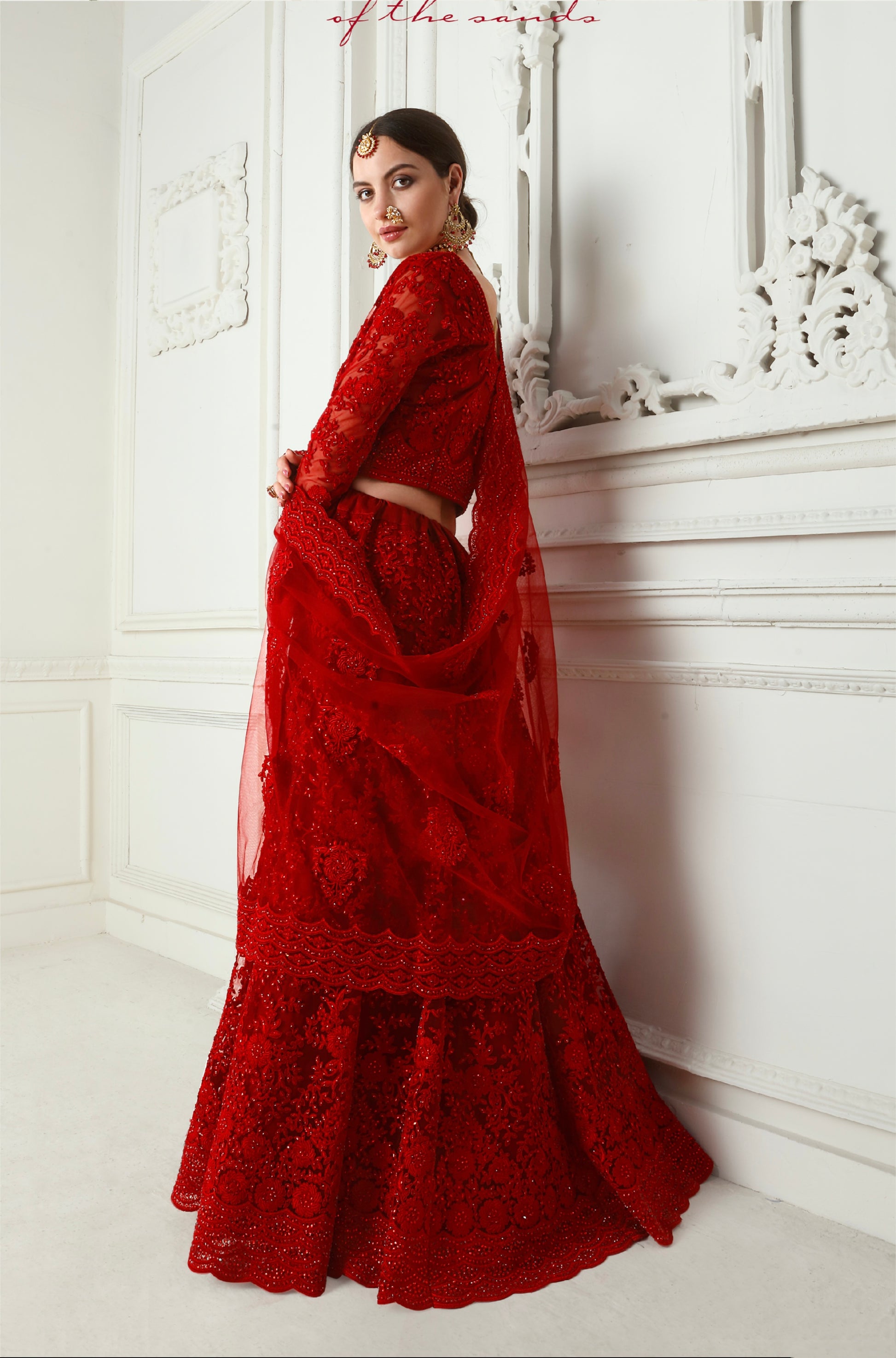 Red Net Lehenga with Heavy Cording Embroidery & Stone Detailing