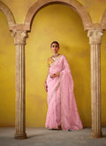 Blush Pink Glass Tissue Saree with Thread Embroidery