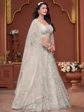 Off-White Premium Net Bridal Lehenga