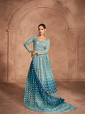 Sky Blue Chikankari Anarkali Dress