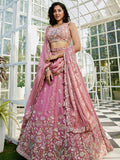 Pink Tissue Embroidered Bridal Lehenga