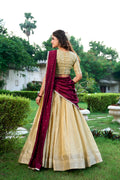 Kanchipuram Lehenga Choli