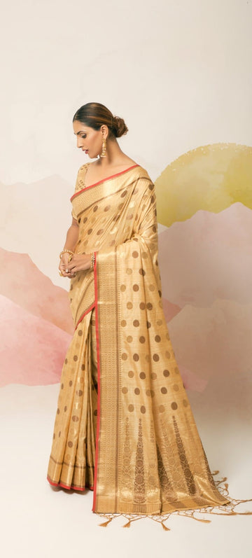 Rajpath Aviana Silk Soft Ghichaa Silk Saree