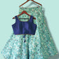 Traditional Aesthetic Floral Crop-Top Lehenga Choli