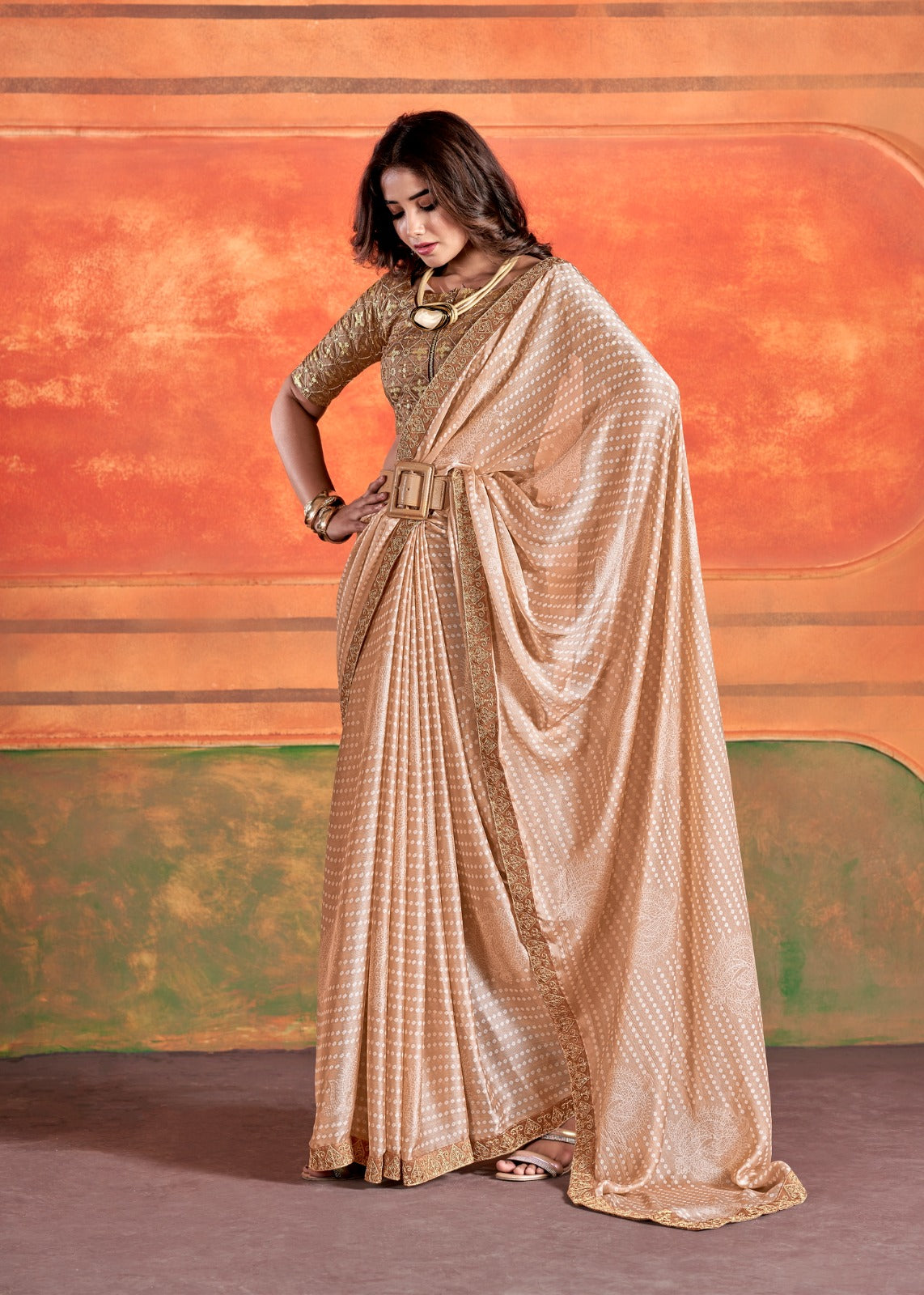 Stavan Chiffon Embroidery Saree D.No. 101