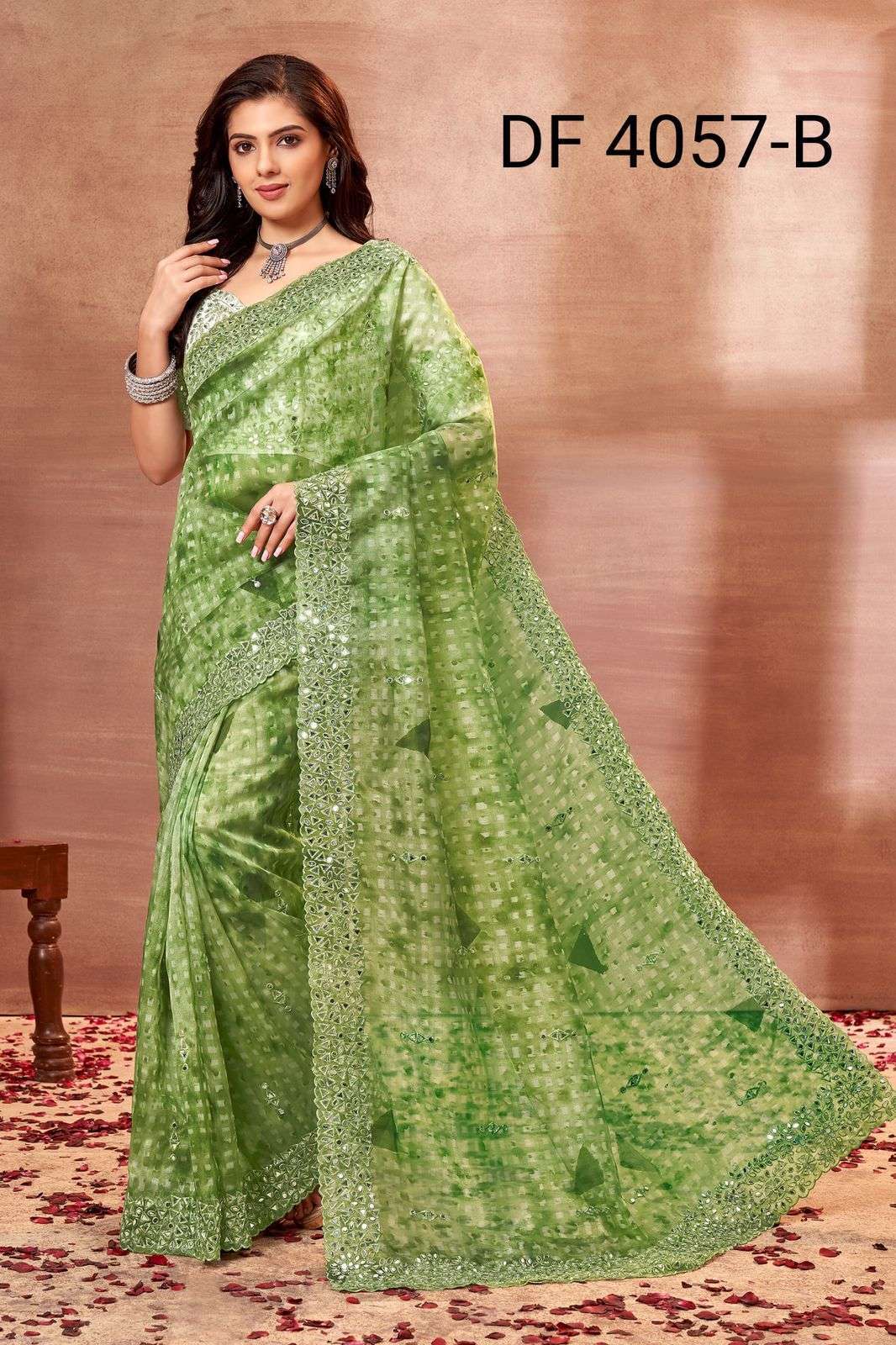 Orgenza Sequance Saree