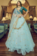 Party Wear Lehenga Choli