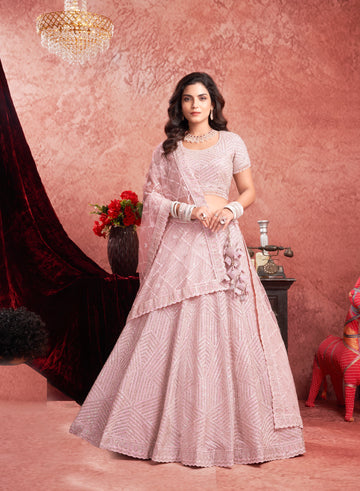 Baby Pink Premium Net Bridal Lehenga Zarkan Hand Embroidery