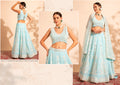 lehenga choli design for ladies