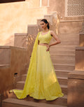 Yellow Embroidered Crop Top and Skirt Lehenga Set