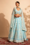 lehenga choli design for ladies