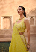 Yellow Embroidered Crop Top and Skirt Lehenga Set