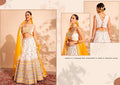 lehenga choli design for ladies